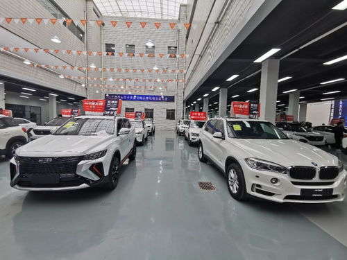竹子買車現身成都，發動機裝配新模式打破汽車銷售常規